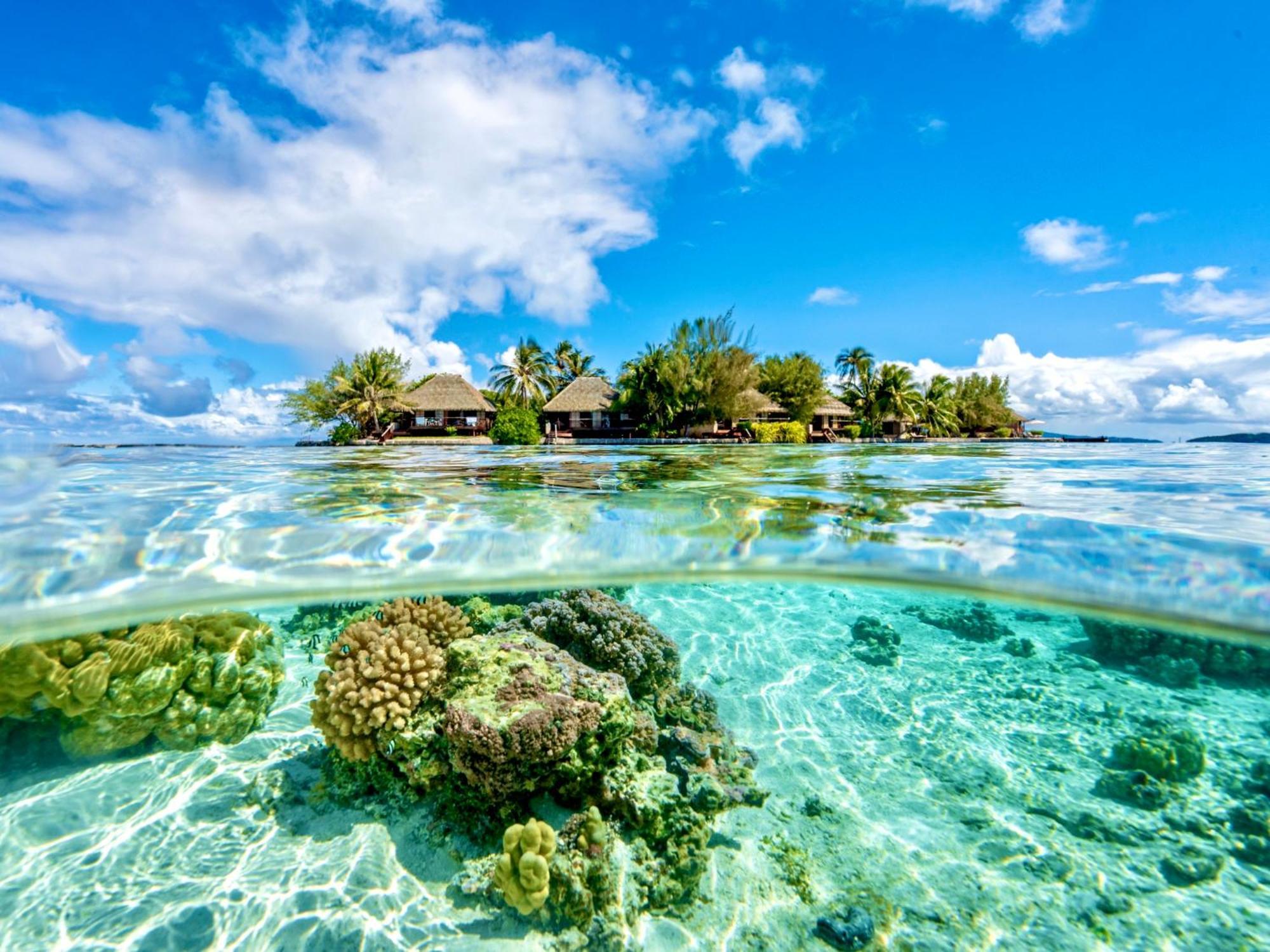 Eden Private Island Tahaa Hotel Patio  Екстериор снимка