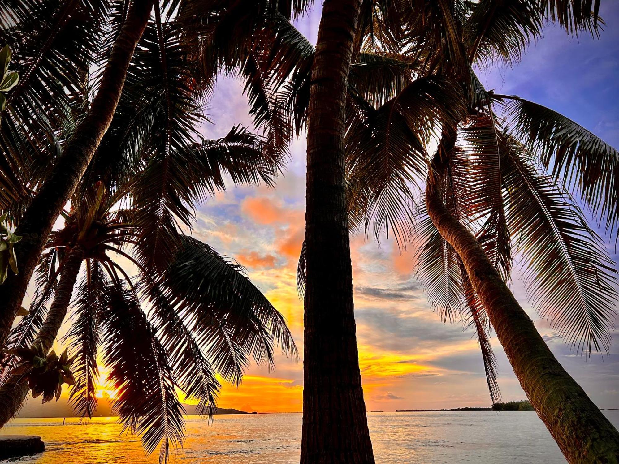 Eden Private Island Tahaa Hotel Patio  Екстериор снимка